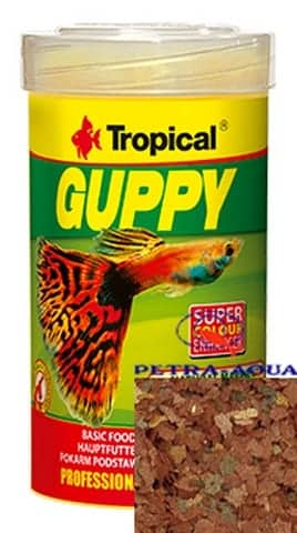 Tropical / Guppy