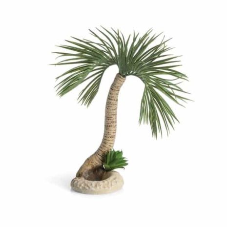 Palmträd L Seychellerna
