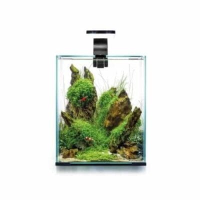 Akvarium Shrimp Set Day&Night 19L Svart