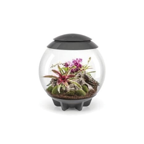 biOrb AIR 60 grå biOrb AIR 60 grå