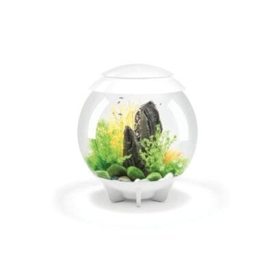 biOrb HALO MCR