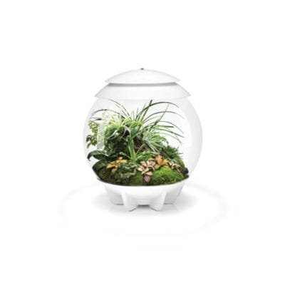 Terrarium