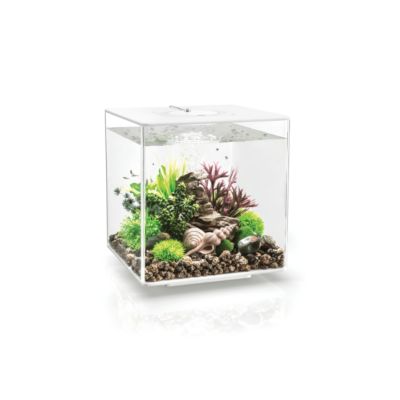 biOrb CUBE 30 LED vit