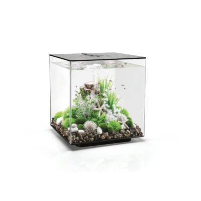 biOrb CUBE 60 LED svart