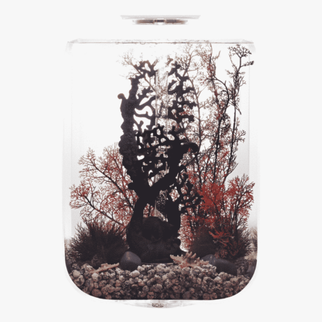 biOrb LIFE 45 MCR transparent biOrb LIFE 45 MCR transparent