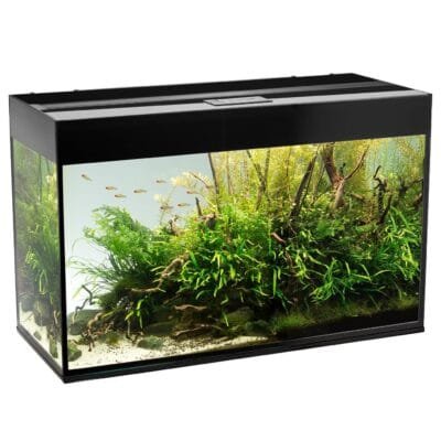 Akvarium Glossy 125L Svart