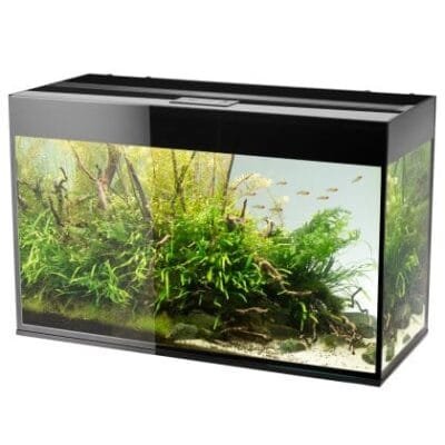 Akvarium Glossy 472L Svart