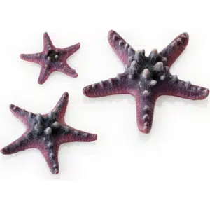 biOrb Sea Star-set 3 rosa