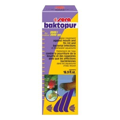 Baktopur