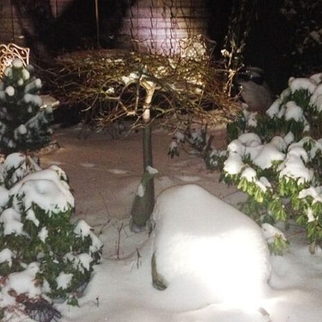 LED Spot Pro 3 W metall LED Spot Pro 3 W metall