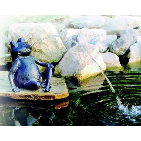 Groda stor ca 20,5 cm Groda stor ca 20,5 cm