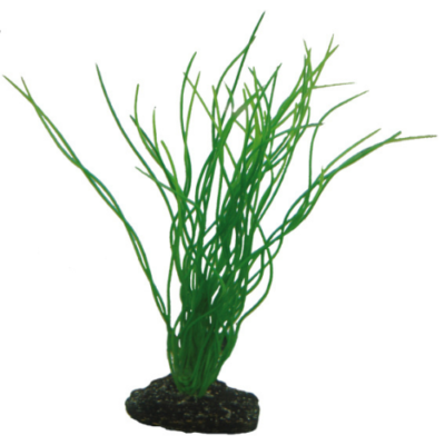 PLASTVÄXT SAGITTARIA HOBBY 20cm