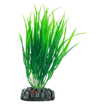 PLASTVÄXT CYPERUS HOBBY 16cm