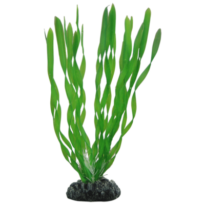 PLASTVÄXT VALLISNERIA HOBBY 20cm