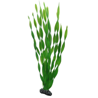 PLASTVÄXT VALLISNERIA HOBBY 46cm