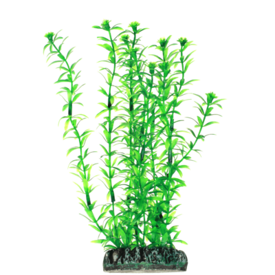 PLASTVÄXT LAGAROSIPHON HOBBY 20 cm