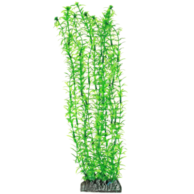 PLASTVÄXT LAGAROSIPHON HOBBY 34 cm