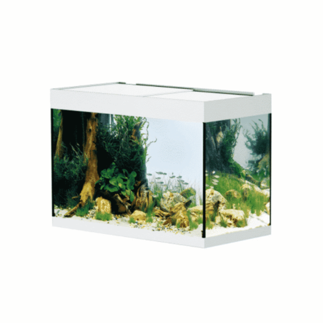 StyleLine 175 Aquarium