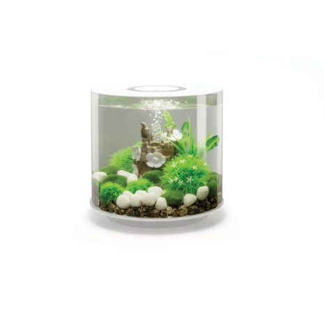 biOrb TUBE 15 LED vit
