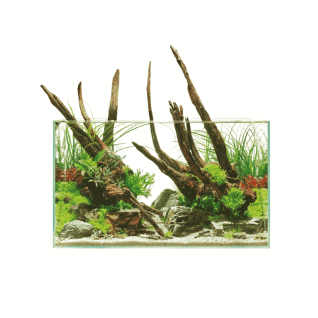 ScaperLine 60 Aquarium ScaperLine 60 Aquarium