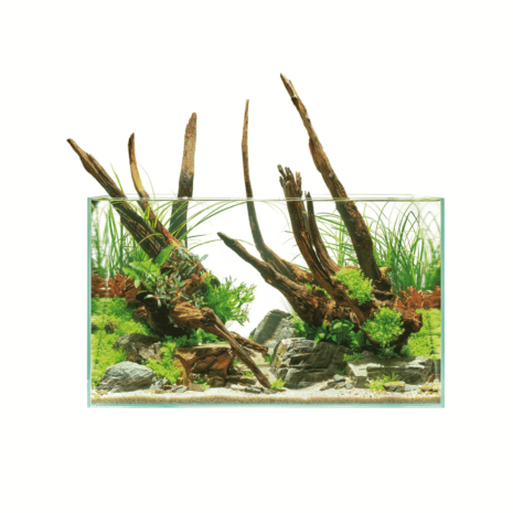 ScaperLine 100 Aquarium ScaperLine 100 Aquarium