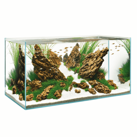 ScaperLine 100 Aquarium ScaperLine 100 Aquarium