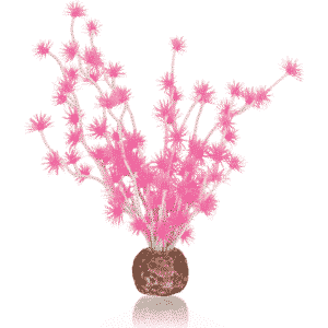 biOrb Bonsai boll rosa