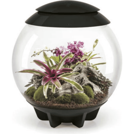 biOrb AIR 60 svart