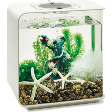 biOrb dekor set 15L blomma trädgård biOrb dekor set 15L blomma trädgård