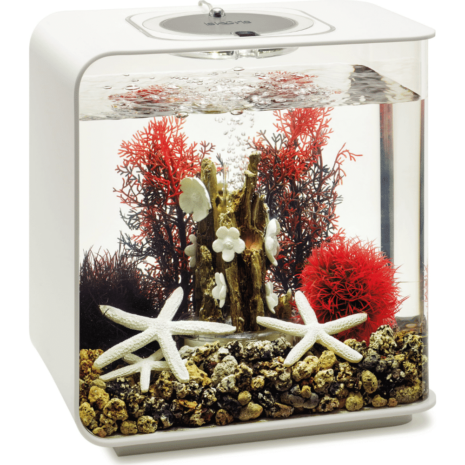 biOrb dekor set 15L röd skog biOrb dekor set 15L röd skog