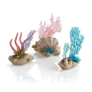 biOrb korall fläktar & skal set