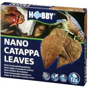 Hobby Catappa Leaves Nano Brun