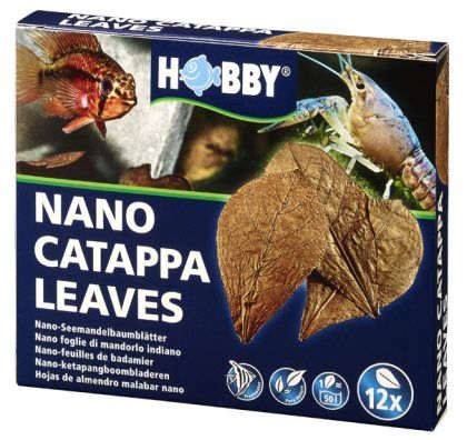 Hobby Catappa Leaves Nano Brun