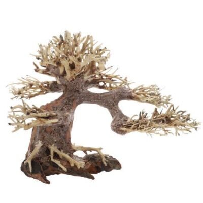 Bonsai Brun 30x15x23cm