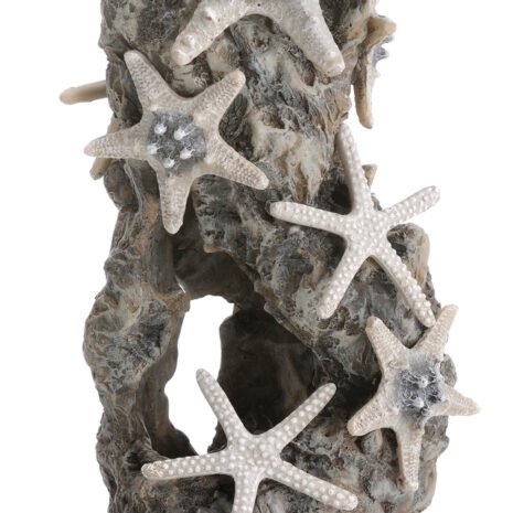biOrb Sea star rock