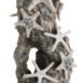 biOrb Sea star rock