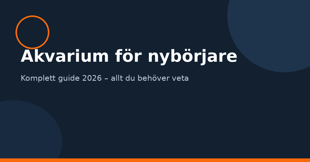 Akvarium för nybörjare – komplett guide med akvariefiskar och utrustning
