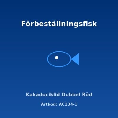 Kakaduciklid Dubbel Röd 3-4 cm
