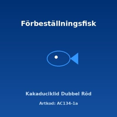 Kakaduciklid Dubbel Röd 3-4 cm