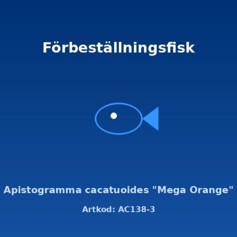 alex-AC138-3 alex-AC138-3
