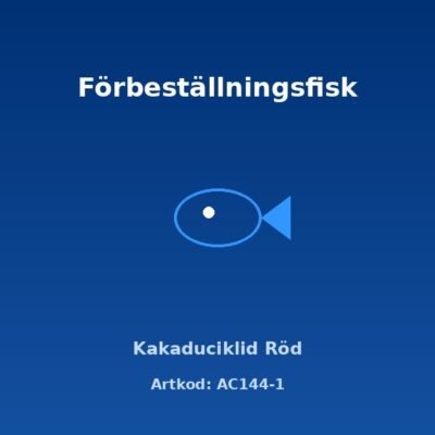 Kakaduciklid Röd 3-4 cm