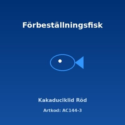 Kakaduciklid Röd 5-5,5 cm
