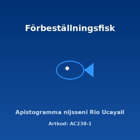 alex-AC238-1 alex-AC238-1