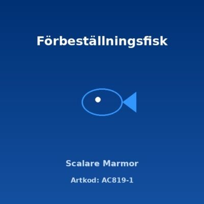 Scalare Marmor 3-3,5 cm