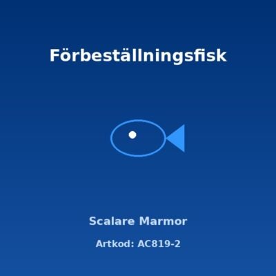 Scalare Marmor 4 cm