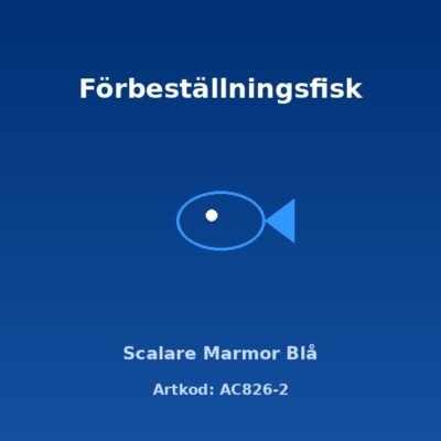 Scalare Marmor Blå 4 cm