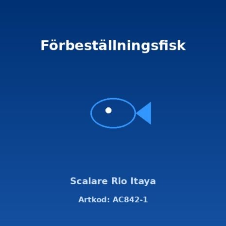 alex-AC842-1
