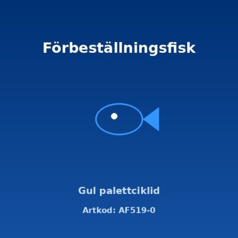 alex-AF519-0