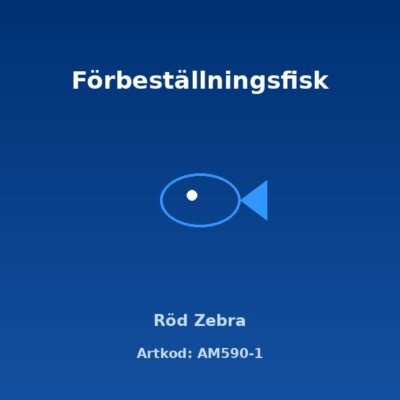 Röd Zebra 4-5 cm