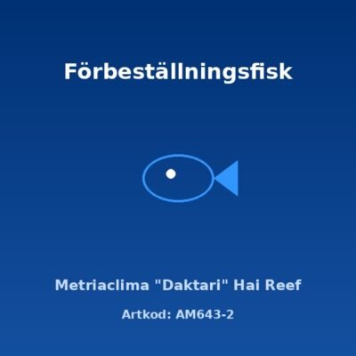 Metriaclima "Daktari" Hai Reef 5-6 cm